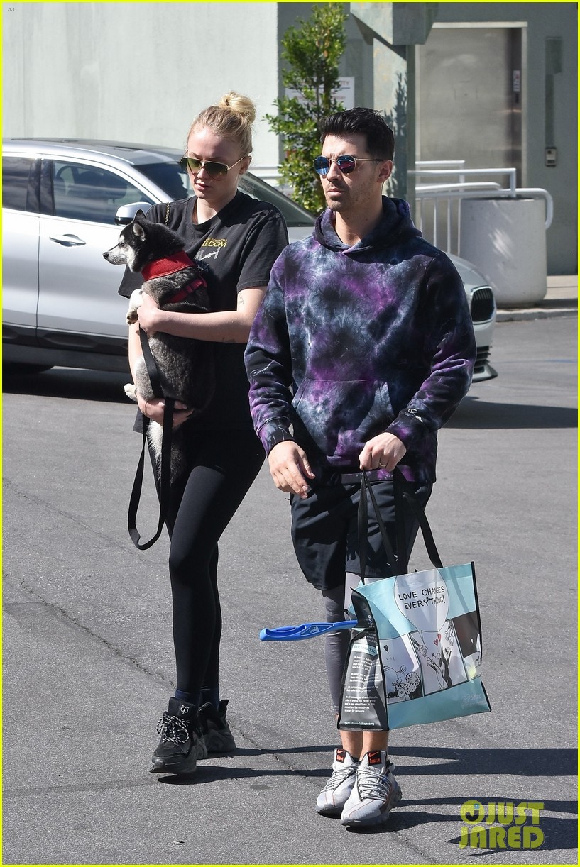 sophie turner holds dog porky in front of baby bump 01