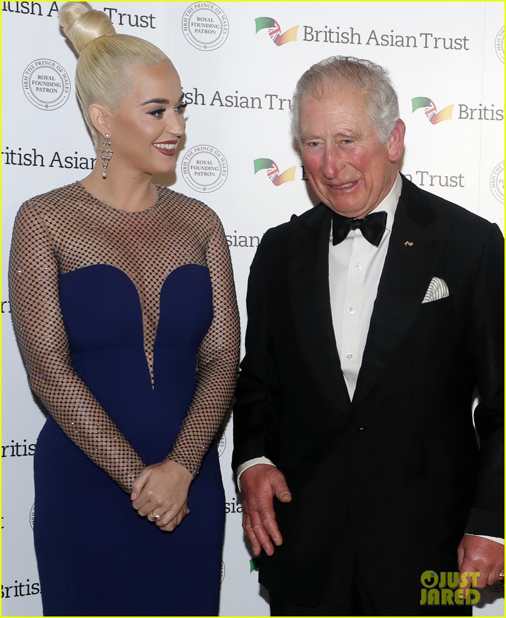 Katy Perry Named British Asian Trust Ambassador by Prince Charles