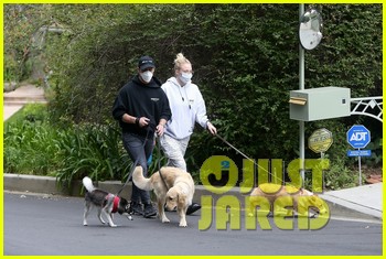 joe jonas sophie turner walk with the dogs 14