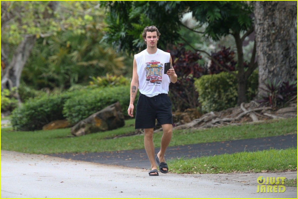 shawn mendes takes a call during his neighborhood stroll 164456912