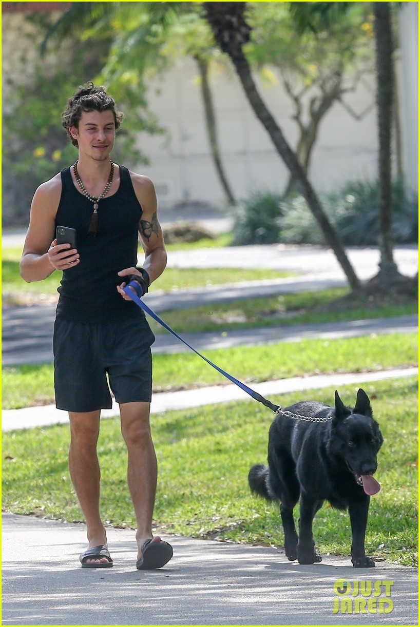 shawn mendes takes dog for a walk 044453593