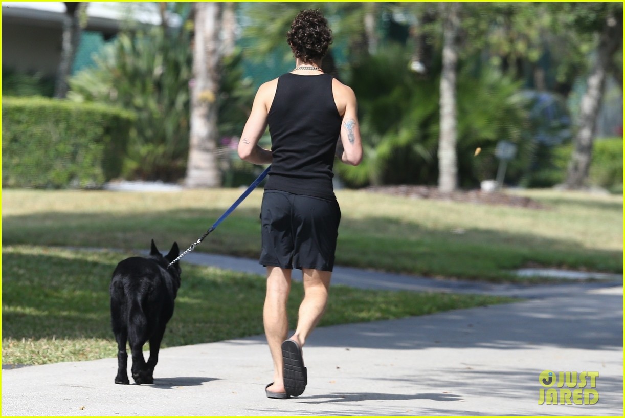 shawn mendes takes dog for a walk 314453620
