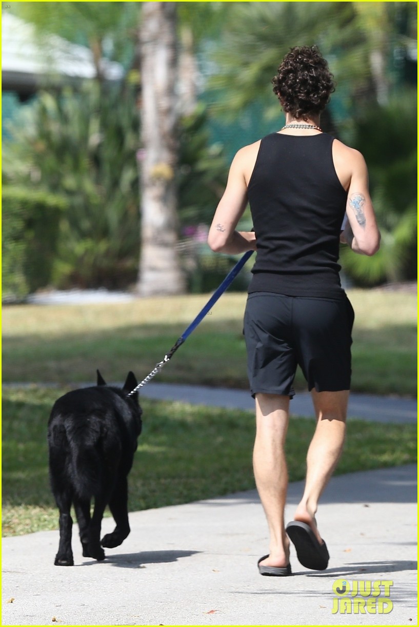 shawn mendes takes dog for a walk 324453621
