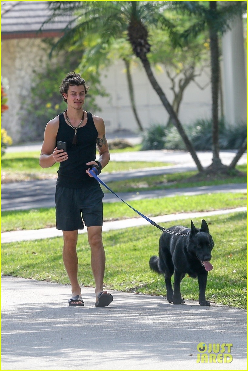 shawn mendes takes dog for a walk 354453624