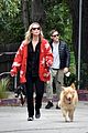chris pine annabelle wallis walk with dogs 01