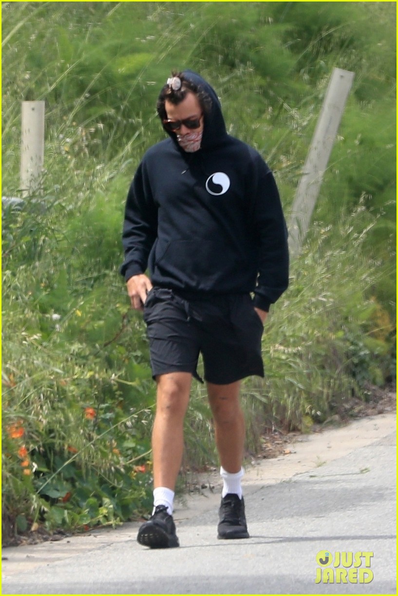 harry styles goes for walk after bumping into kendall jenner 294453056