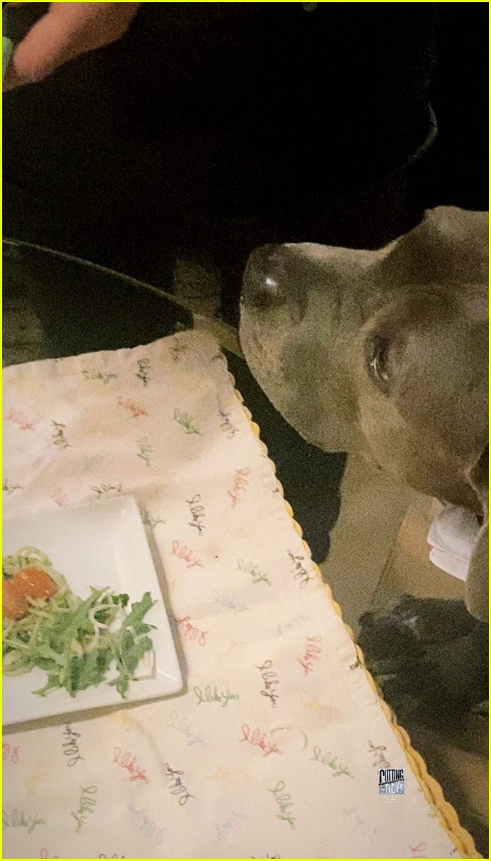 Justin Theroux & His Dog Kuma Had a Formal Friday Dinner at Home