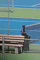 jon hamm tennis with anna osceola 59