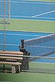 jon hamm tennis with anna osceola 60