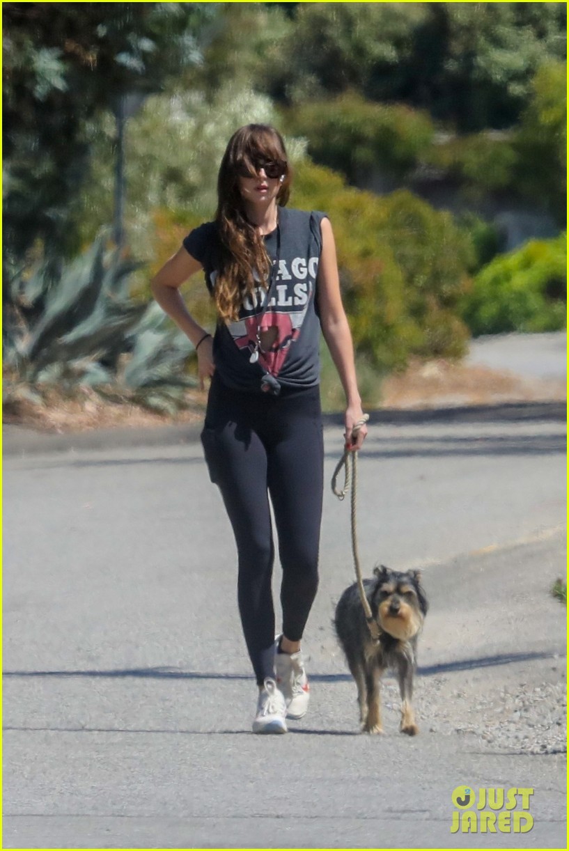 dakota johnson goes walking with her dog 114465722
