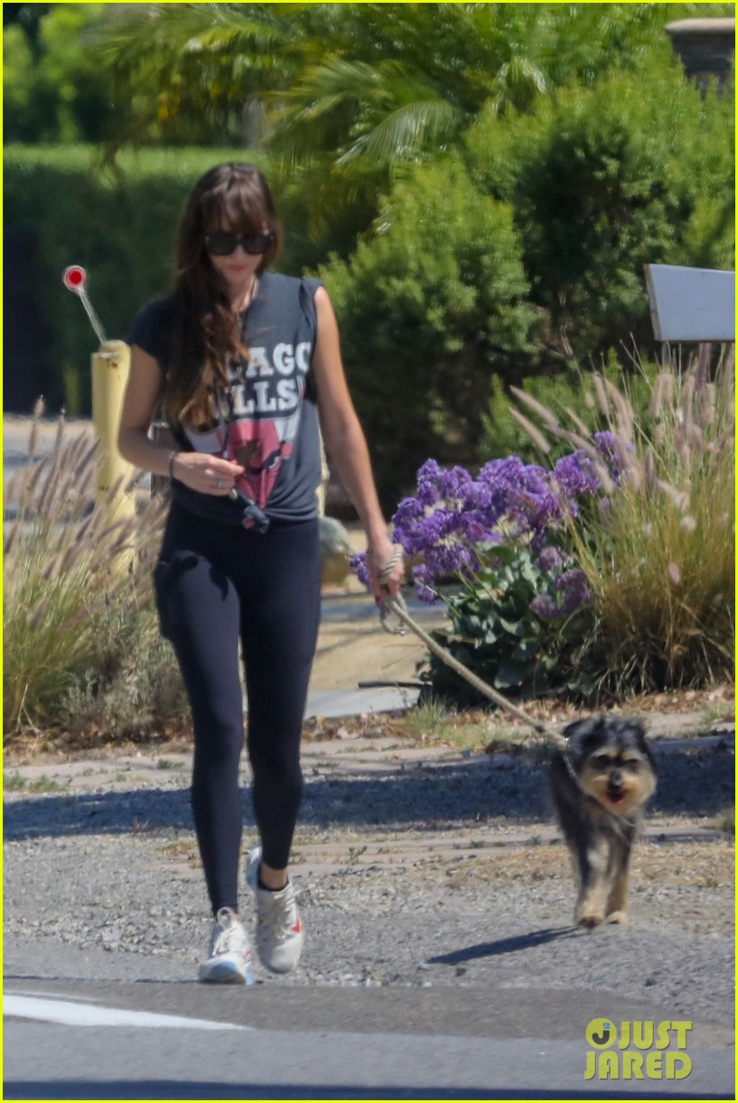 dakota johnson goes walking with her dog 214465732