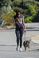 dakota johnson goes walking with her dog 13