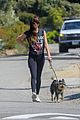 dakota johnson goes walking with her dog 14