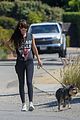 dakota johnson goes walking with her dog 15