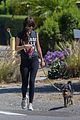 dakota johnson goes walking with her dog 23