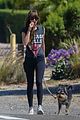 dakota johnson goes walking with her dog 26