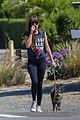 dakota johnson goes walking with her dog 29