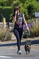 dakota johnson goes walking with her dog 31