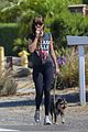 dakota johnson goes walking with her dog 36