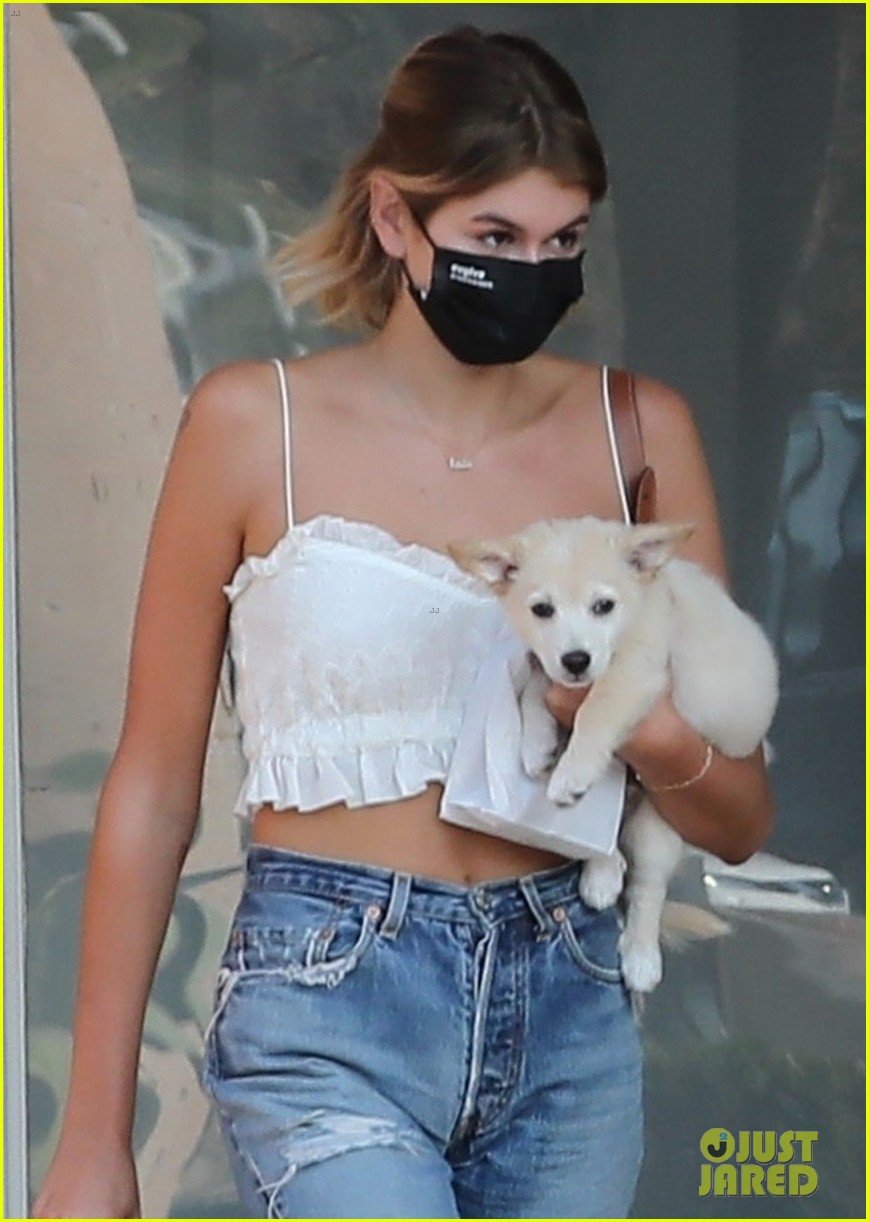 kaia gerber pet store with puppy milo 024473613