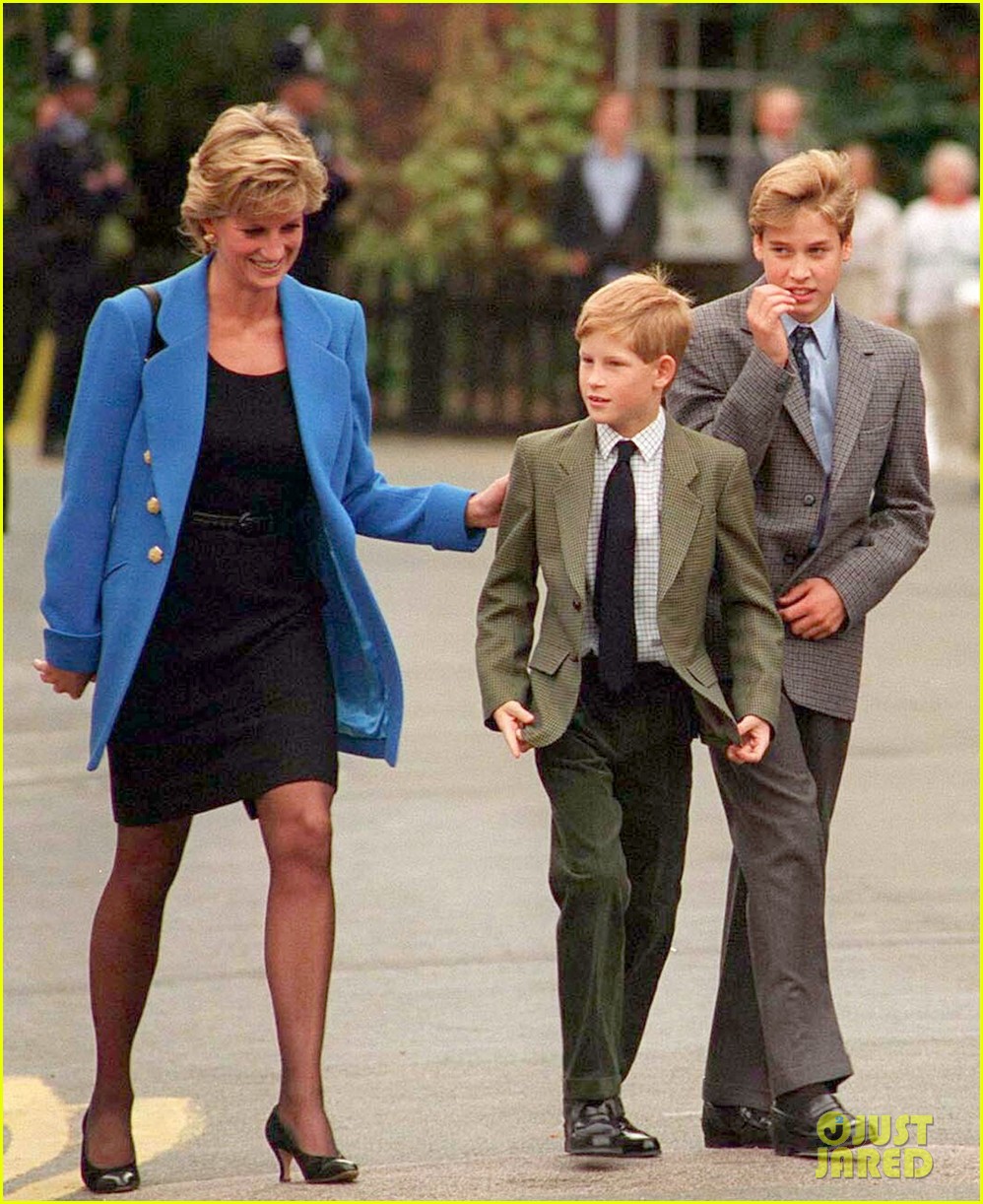 Prince Harry & Prince William Release Rare Joint Statement About