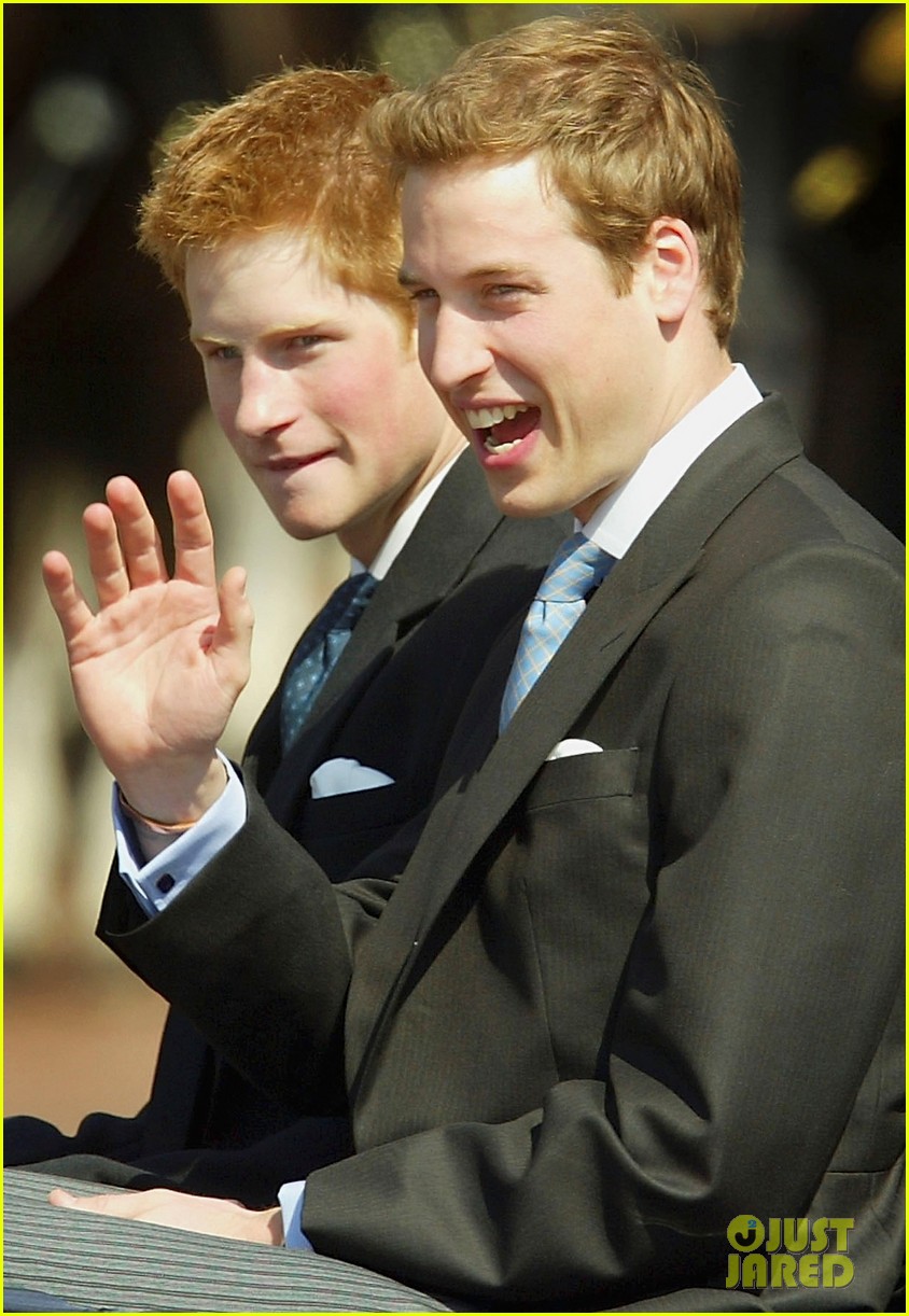 Prince Harry & Prince William Release Rare Joint Statement About