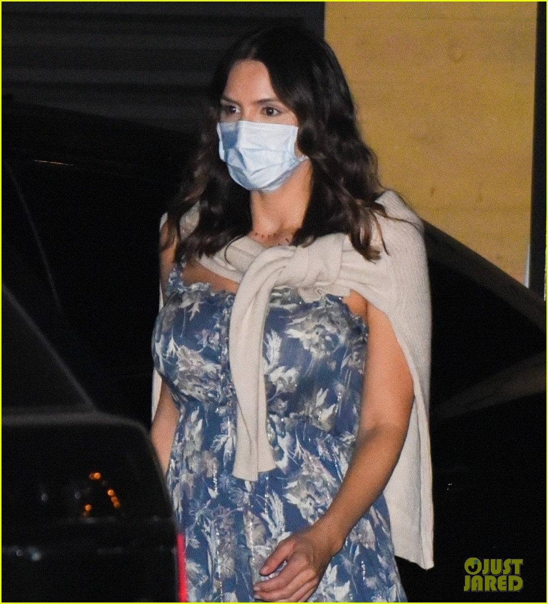 katharine mcphee out for dinner with david foster and mom 024493595