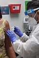 coronavirus vaccine trials paused 08