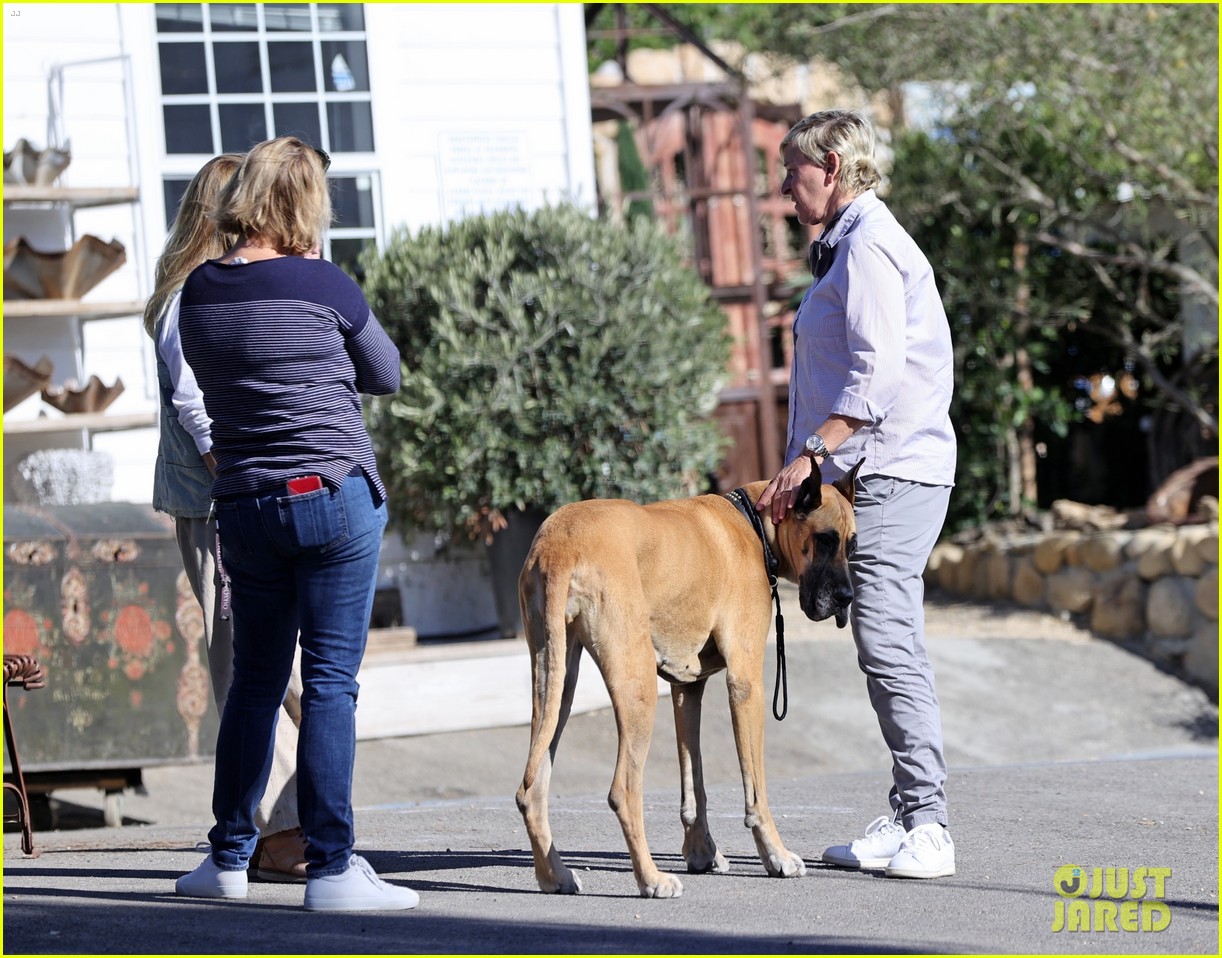 ellen degeneres goes shopping with rob lowes wife 264504823