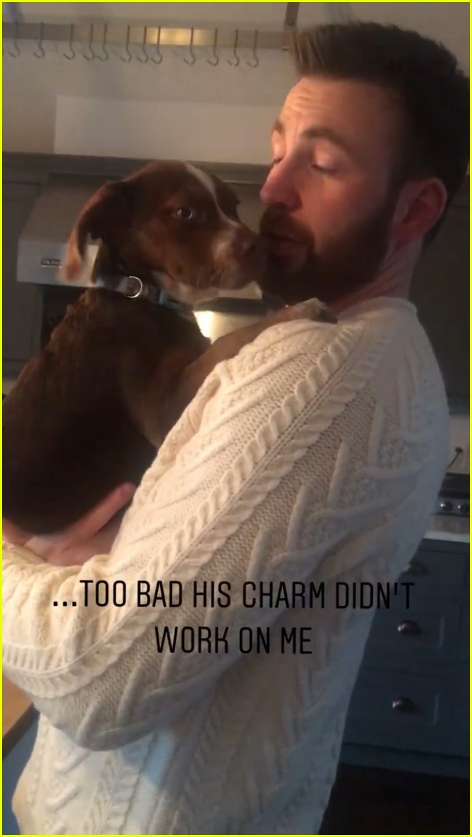 chris evans cuddles puppy knives out sweater 12