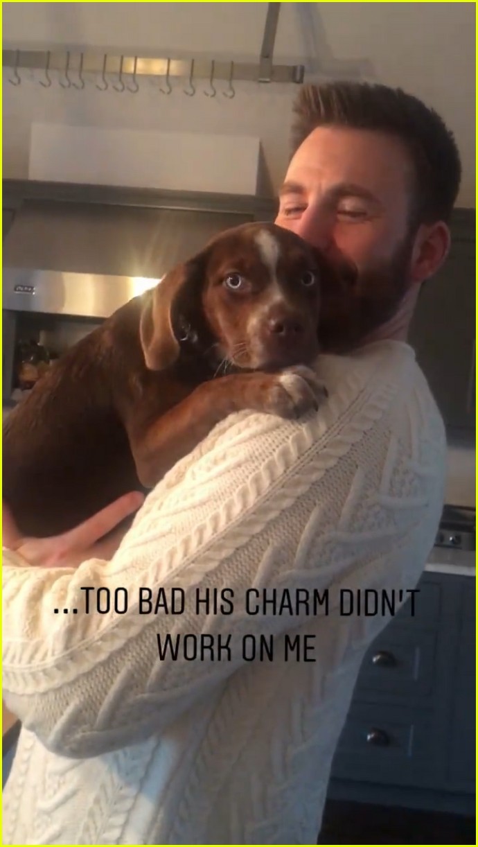 chris evans cuddles puppy knives out sweater 15