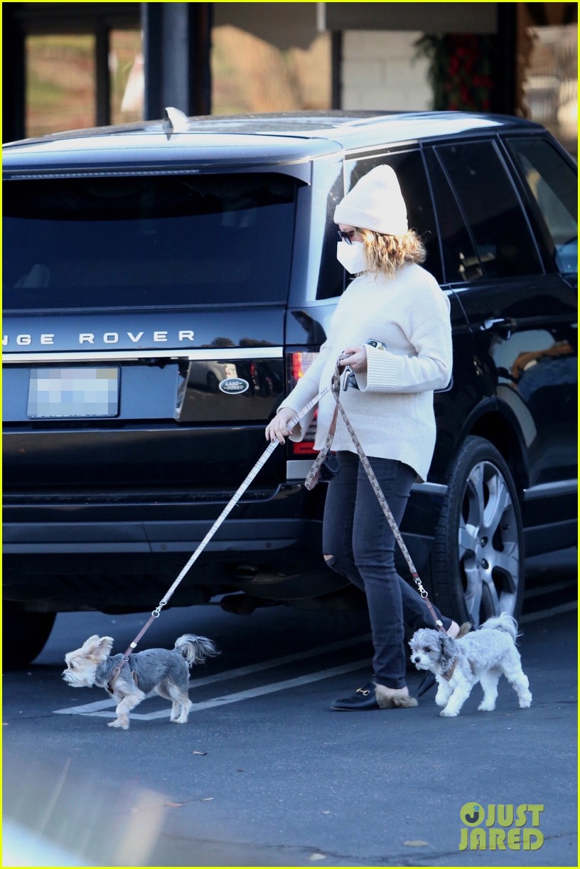 pregnant ashley tisdale takes her dogs while shopping 014512380