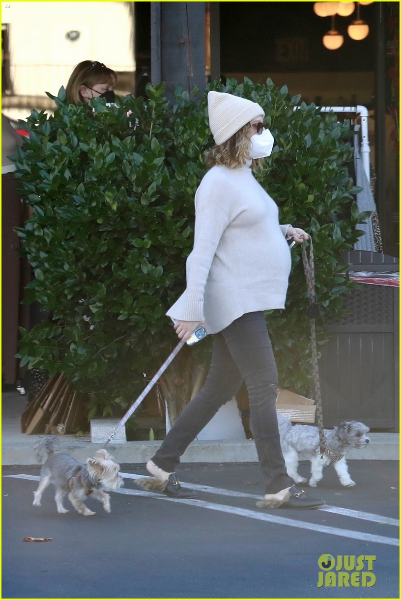 pregnant ashley tisdale takes her dogs while shopping 034512382