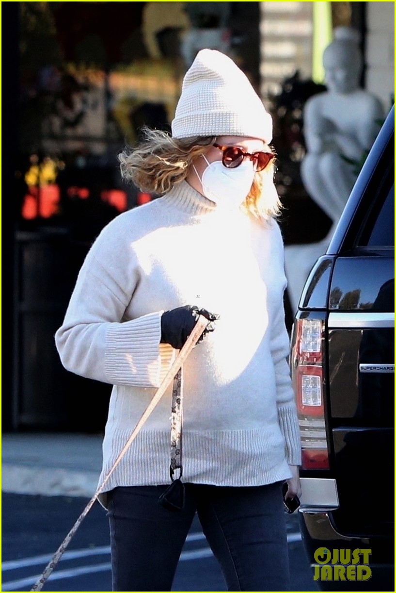 pregnant ashley tisdale takes her dogs while shopping 054512384