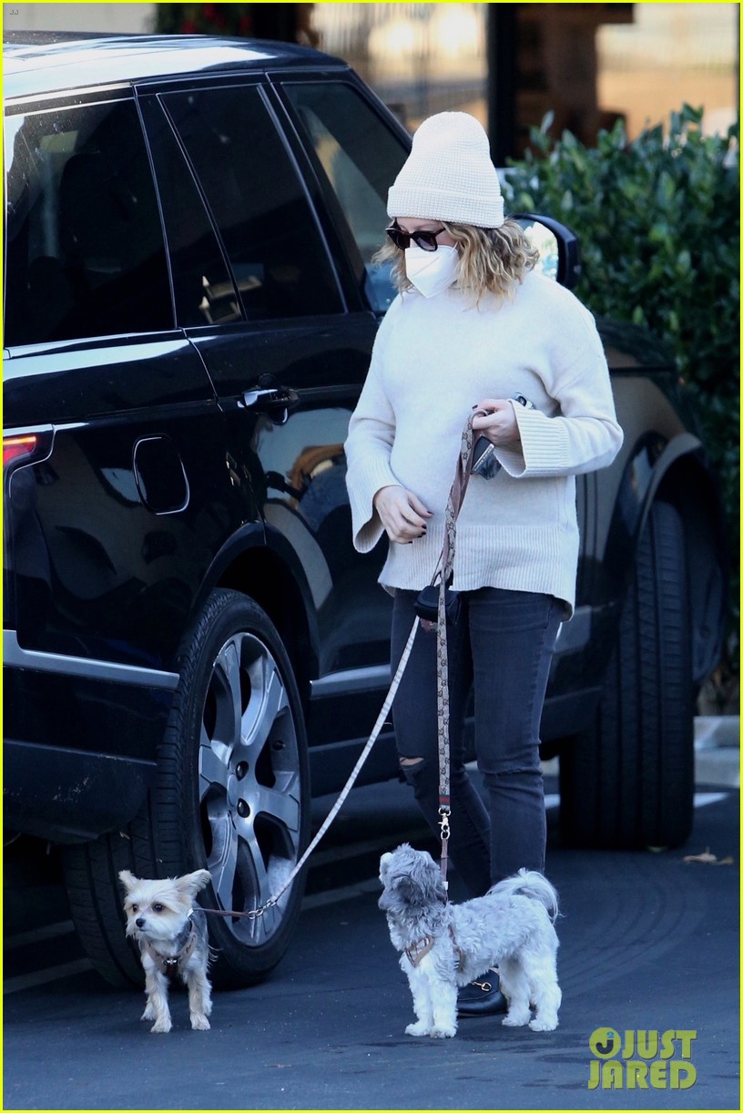 pregnant ashley tisdale takes her dogs while shopping 334512412