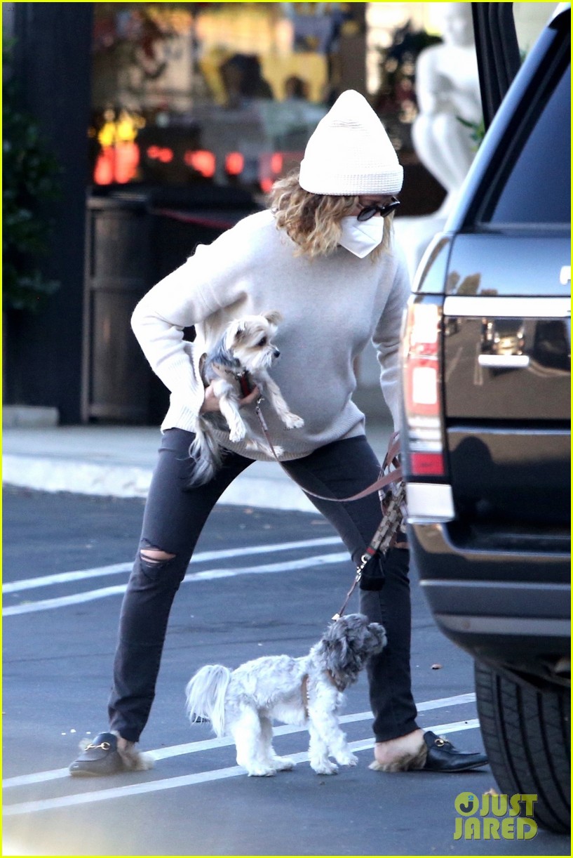 pregnant ashley tisdale takes her dogs while shopping 364512415