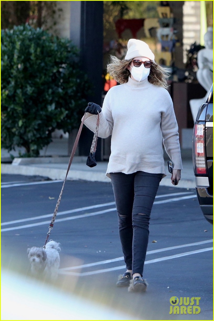 pregnant ashley tisdale takes her dogs while shopping 374512416