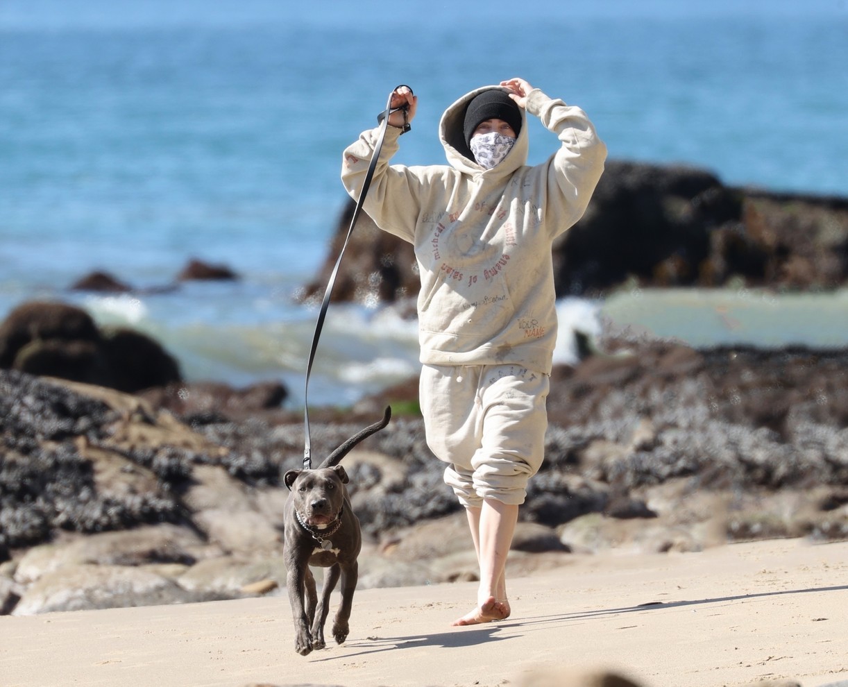 billie eilish beach outing with dogs brother 064527214