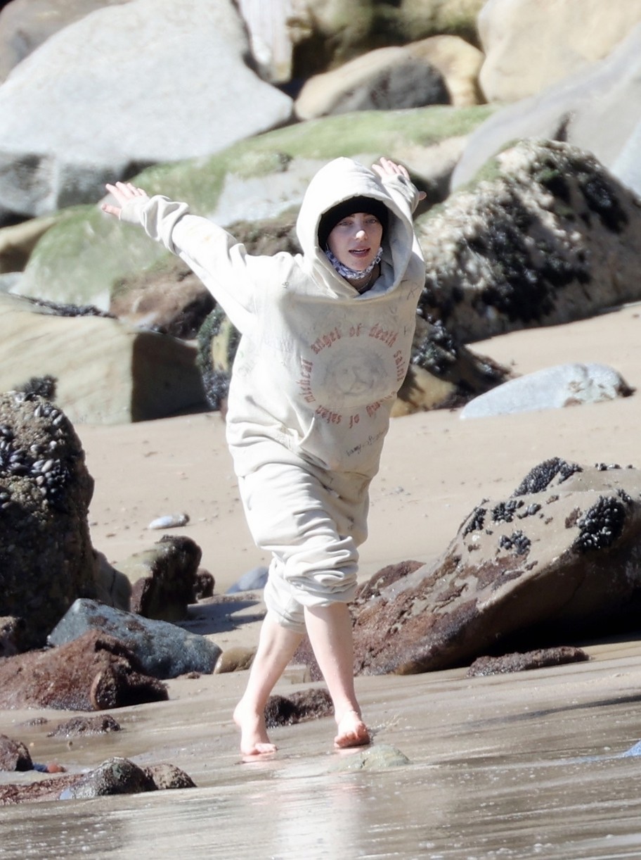 billie eilish beach outing with dogs brother 154527223
