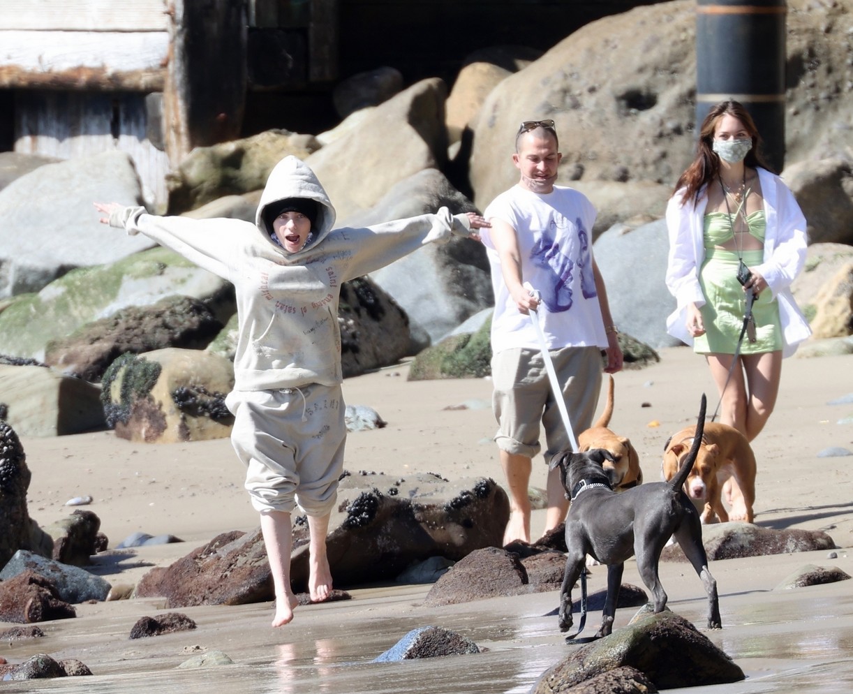 billie eilish beach outing with dogs brother 184527226