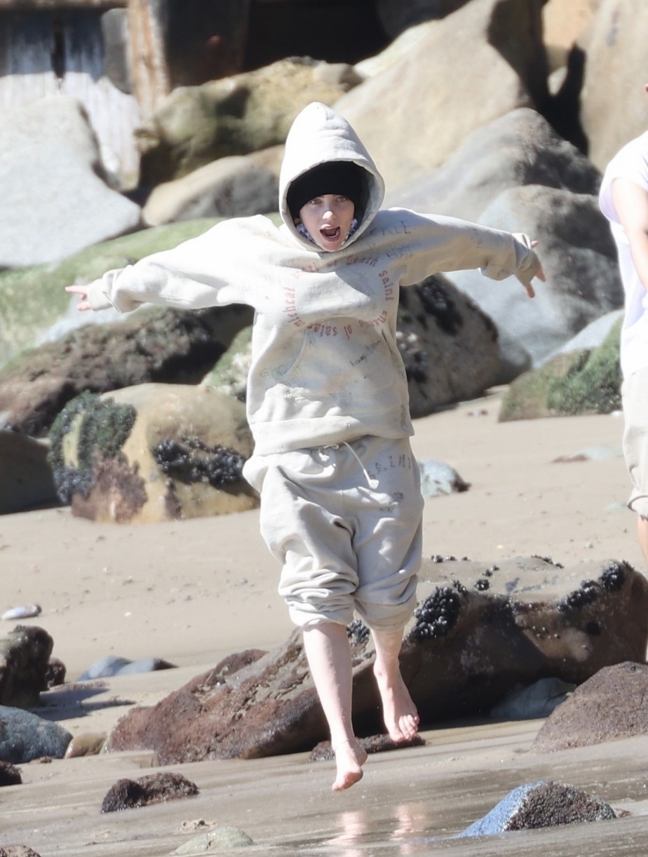 billie eilish beach outing with dogs brother 19