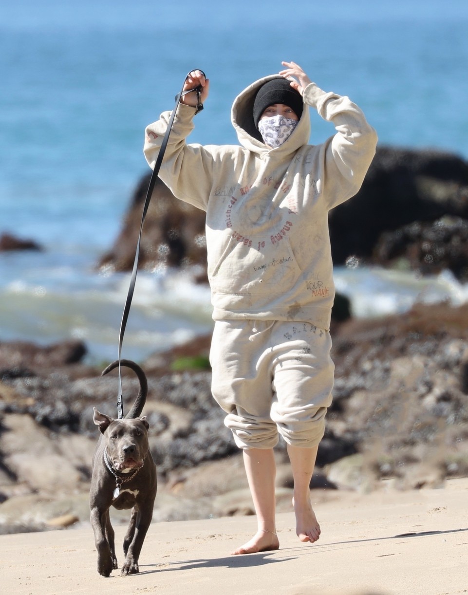 billie eilish beach outing with dogs brother 314527239