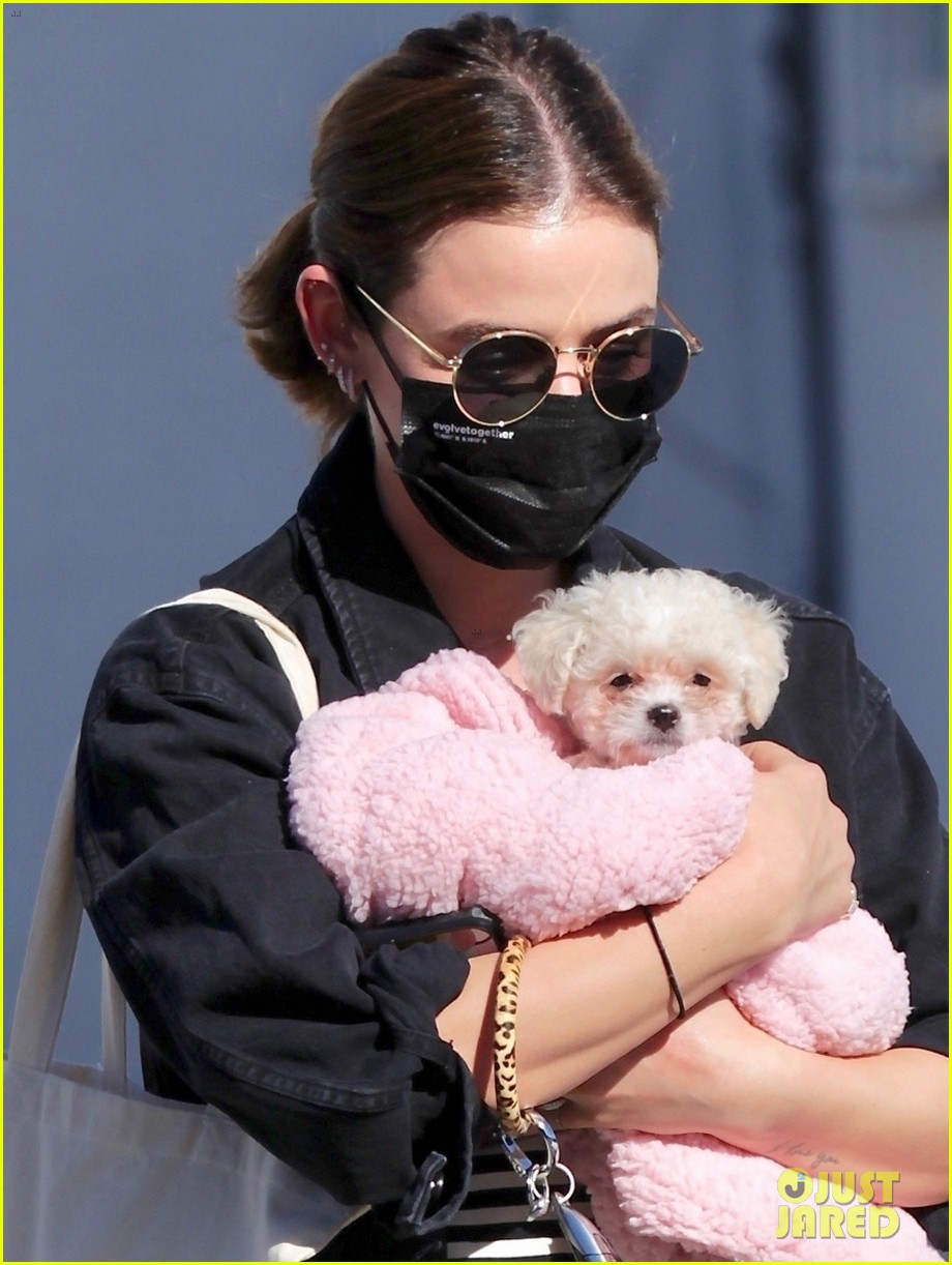 lucy hale new puppy fostered by this star 024522684