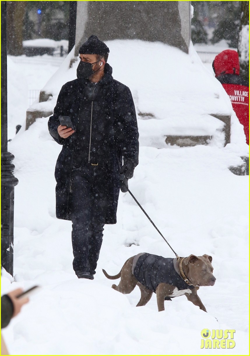 justin theroux dog snow february 2021 47