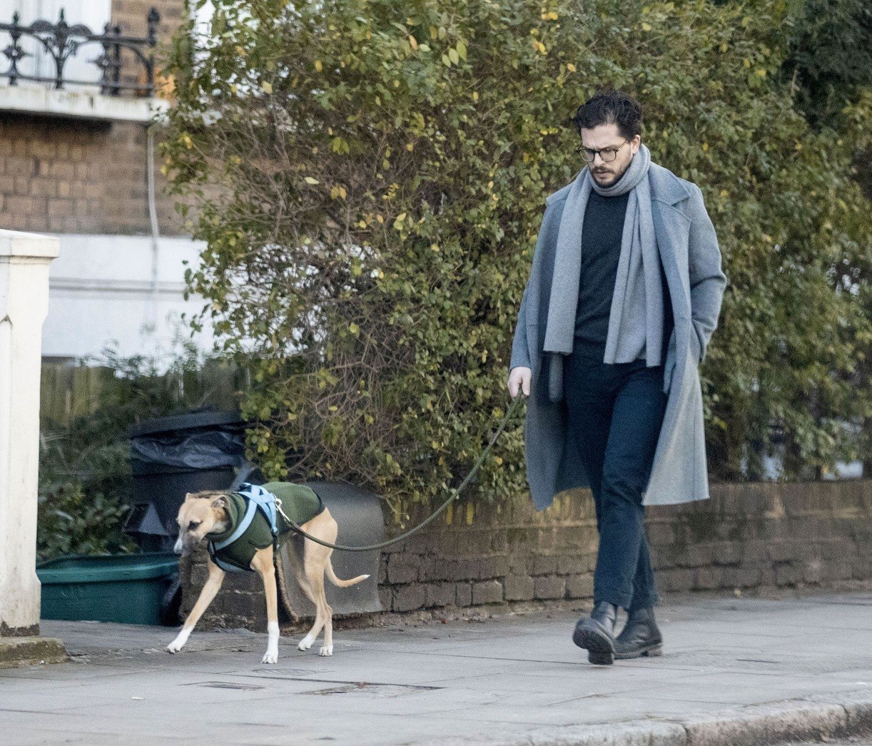 Kit Harington Walks His Whippet Dog Around London After Birth Of Son