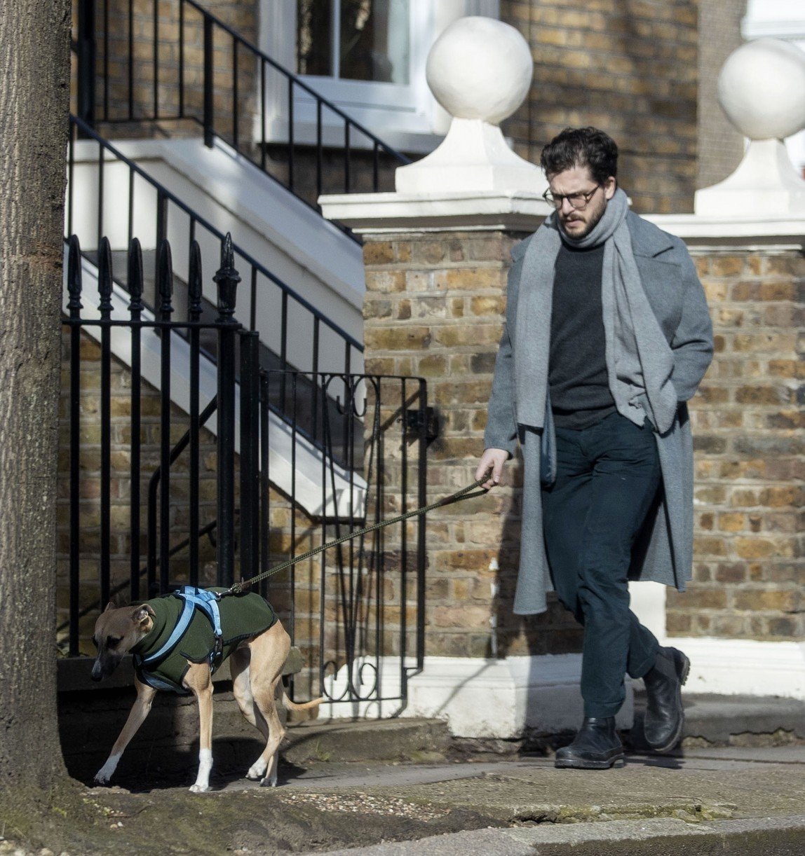Kit Harington Walks His Whippet Dog Around London After Birth Of Son