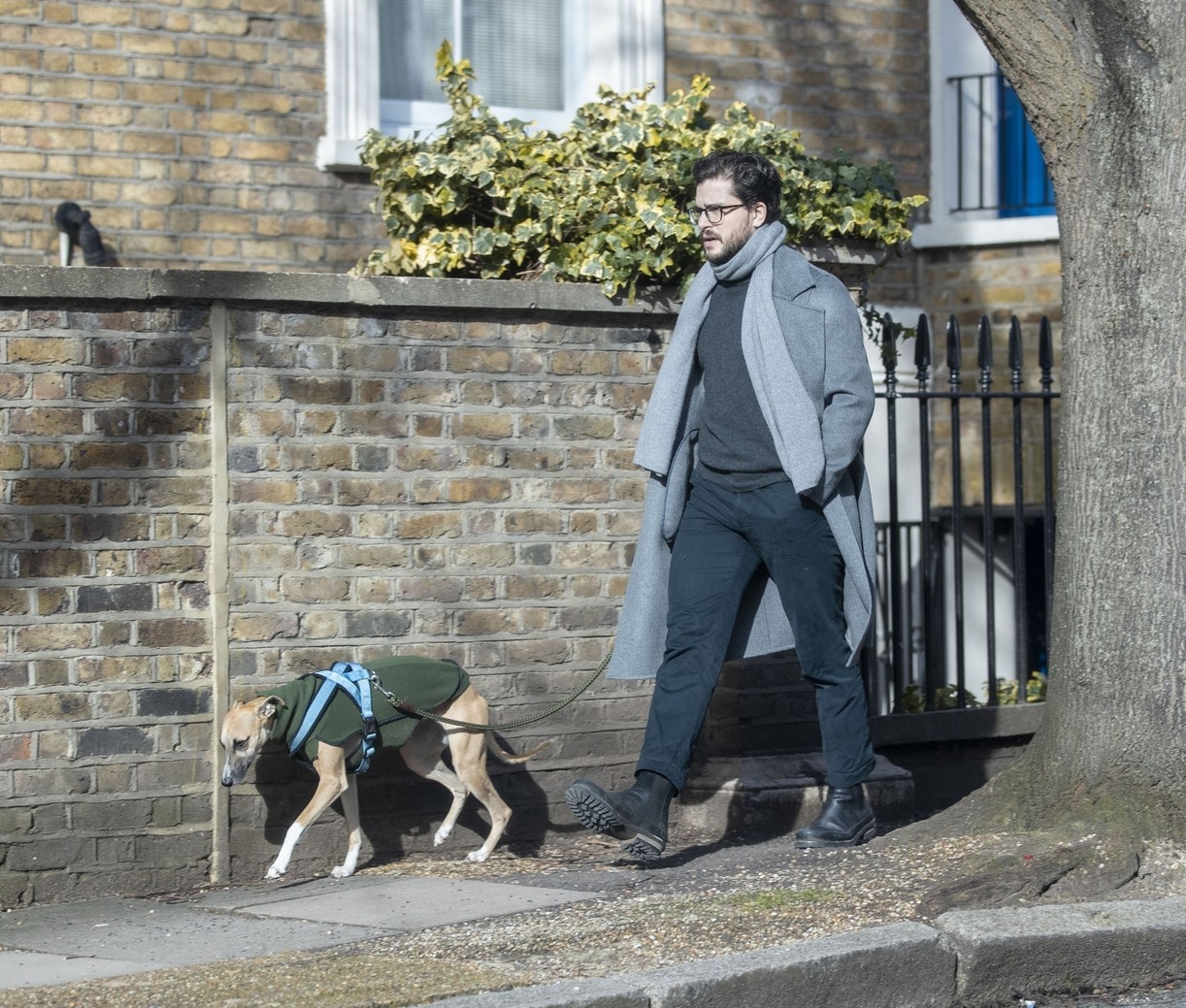 Kit Harington Walks His Whippet Dog Around London After Birth Of Son