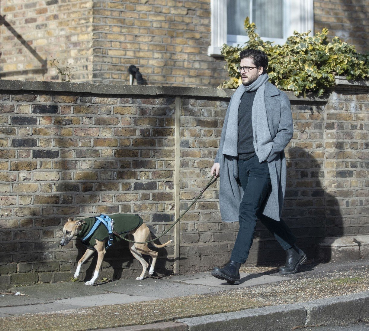 Kit Harington Walks His Whippet Dog Around London After Birth Of Son