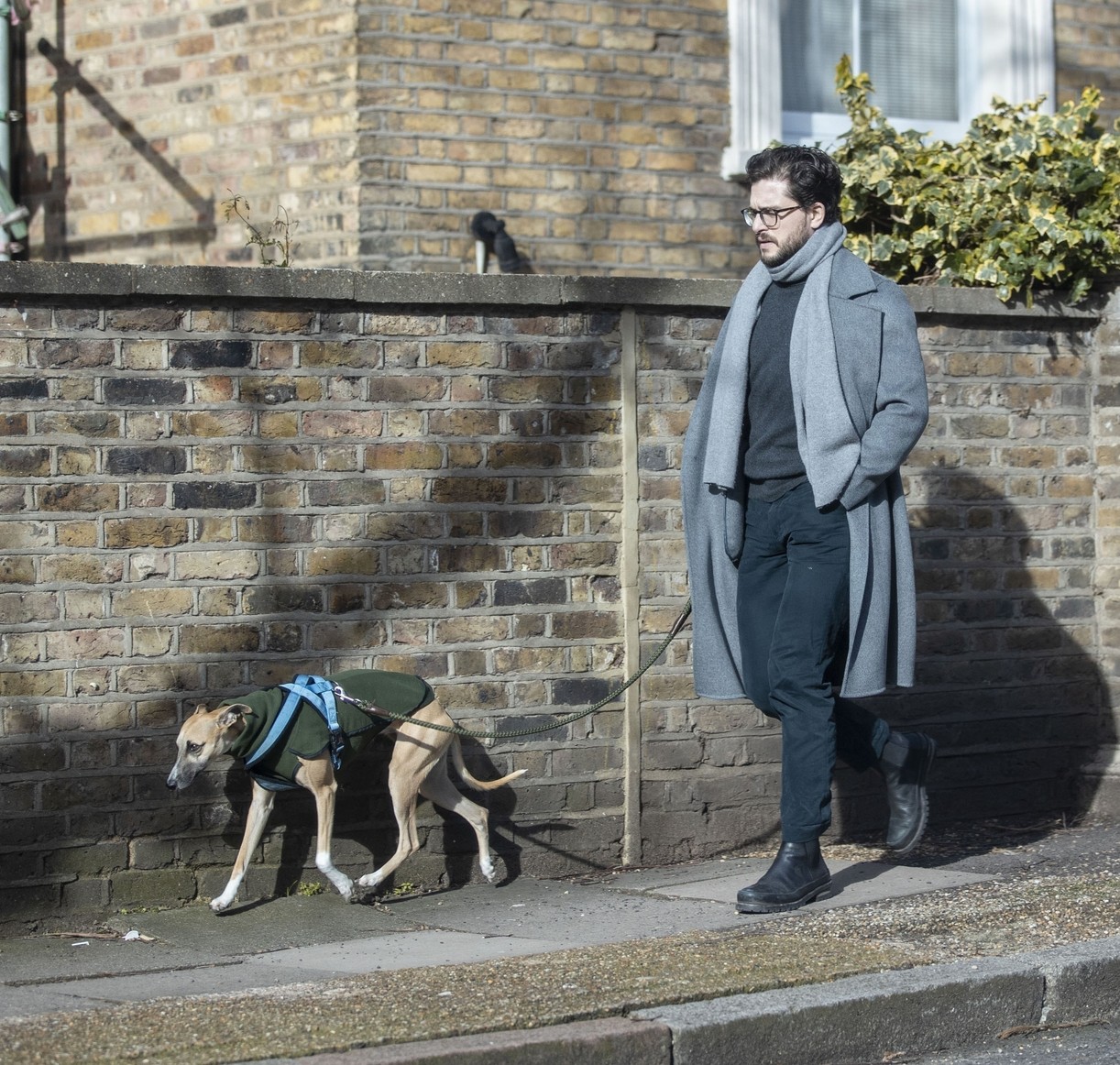 Kit Harington Walks His Whippet Dog Around London After Birth Of Son
