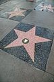ryan oneal star on hollywood walk of fame 08